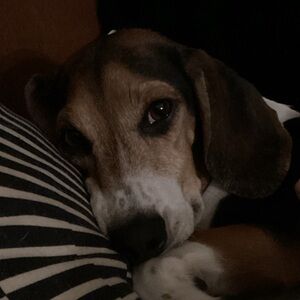 Meet your Posher, Evan